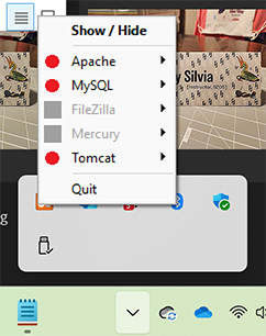 screenshot of the control panel in the taskbar